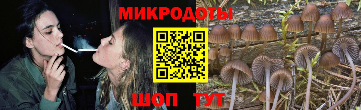 Псилоцибиновые грибы Psilocybine cubensis Александров